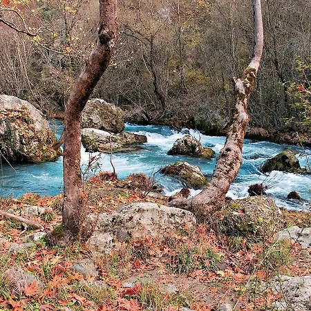 Diavatiko Στεμνίτσα