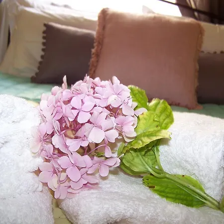 Country house Diavatiko *