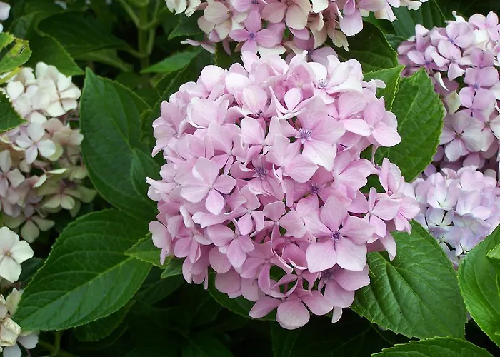 Diavatiko Landhaus Stemnitsa