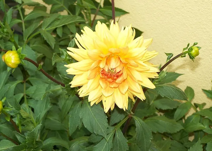 Diavatiko Landhaus *